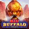 Big Buffalo